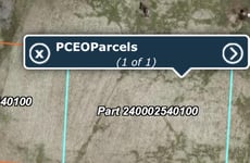 29556902