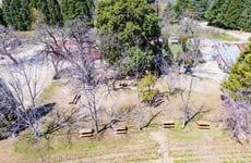 29564300