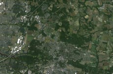 29594892