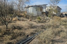 29620592