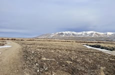 29636485
