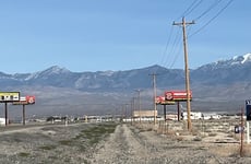 29641216