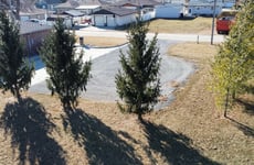 29651476