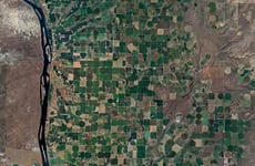 29654351