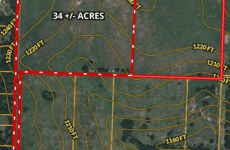 29658778