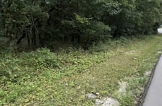 29695782