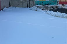 29803523