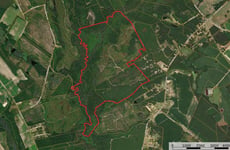 31444769