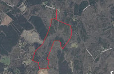 31444698