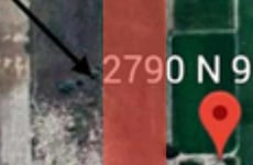 29838274