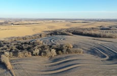 29946392