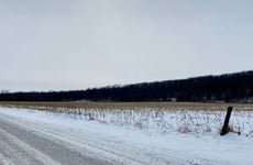29988426