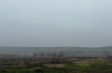 30076464