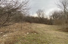 30076541