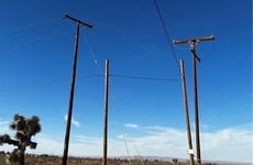 30222677
