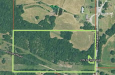 30444867