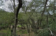30627470