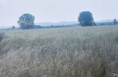 30702412