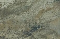 30779549