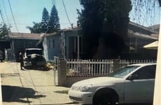 30818531