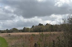30862699