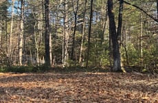 30892673