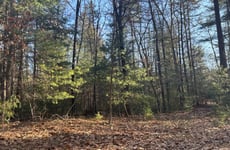 30892675