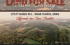 30973901