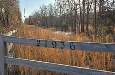 30975544