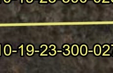 32216022