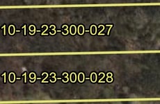 31471620