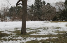 31104974
