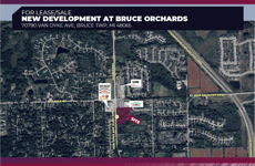 31179146