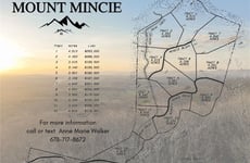 31393424