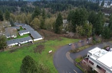31253626