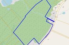 31264429