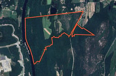 31276459