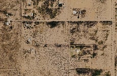 31289469