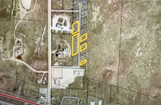 31295818