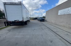 31305897