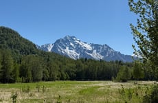 33594562