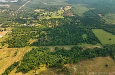 31373846