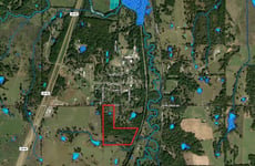 31373892