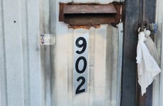 31441351