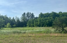 31386372