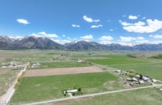 31390794