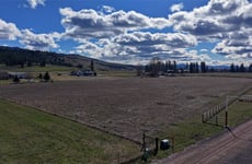 31447429