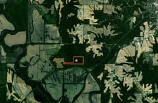 31449446