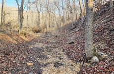 31470230