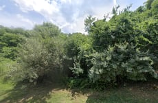 31474555